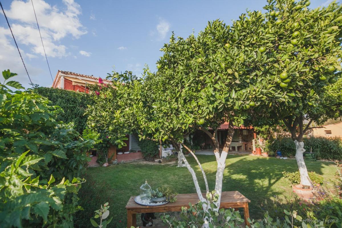 Zacharoulas Katikies Amarynthos Exteriör bild
